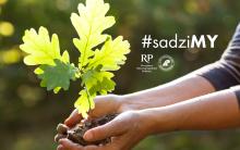 Nadleśnictwo Rzepin zaprasza po odbiór sadzonek w dniu 29 i 30 września od godz. 9.00 do 14.00 w siedzibie i  na Szkółkę Leśną w Nowym Młynie.