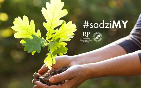 Nadleśnictwo Rzepin zaprasza po odbiór sadzonek w dniu 29 i 30 września od godz. 9.00 do 14.00 w siedzibie i  na Szkółkę Leśną w Nowym Młynie.