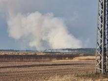 Susza zwiększa zagrożenie pożarami lasów – Akcja Majówka 25